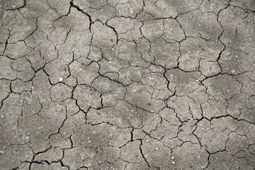 Background and texture with cracked earth