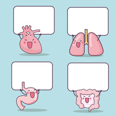 different cartoon organs