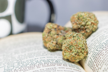 An Open Book With Marijuana Flower & Drinking Mug In Background