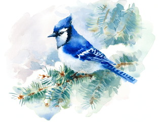 Watercolor Bird Blue Jay Winter Christmas Hand Painted Greeting Card Illustration - 140730988