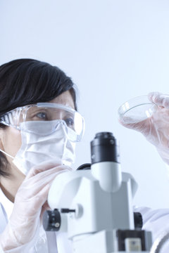 Female lab technician with a Petri dish