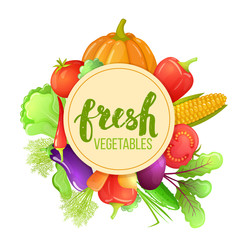 Colorful cartoon set of vegetables icons. Eco organic fresh template with vegetables for the decoration of menu. Vector.