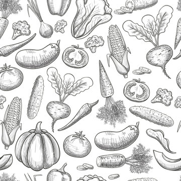 Monochrome sketch style seamless pattern of vegetables . Eco organic fresh template with vegetables for the decoration of menu. Vector.