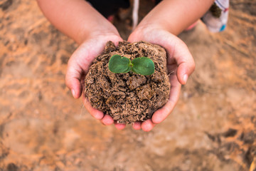 Children planting forests to reduce global warming, Concept afforest.