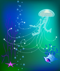 Vector jelly fish underwater world, sea shell