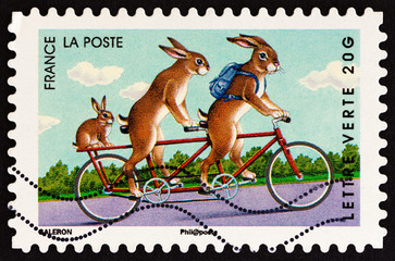 Obraz premium Rabbits on tandem (France 2014)