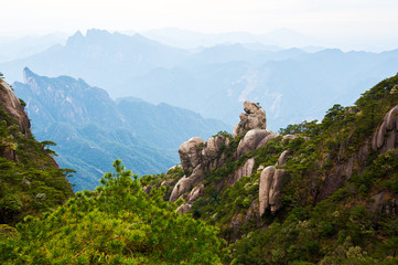 Fototapeta na wymiar Mount Sanqing spring landscape.