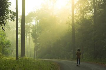 A woman is traveling into jungle.