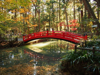 静岡　小國神社の紅葉と橋