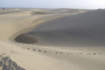 Sand dunes of the Maspalomas desert near the Atlantic Ocean, Gran Canaria, Spain.