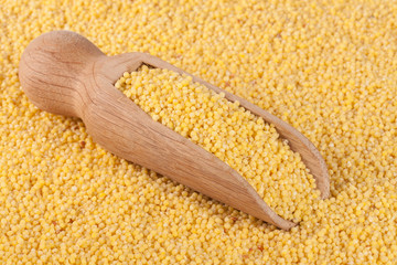 Millet in a wooden shovel as background