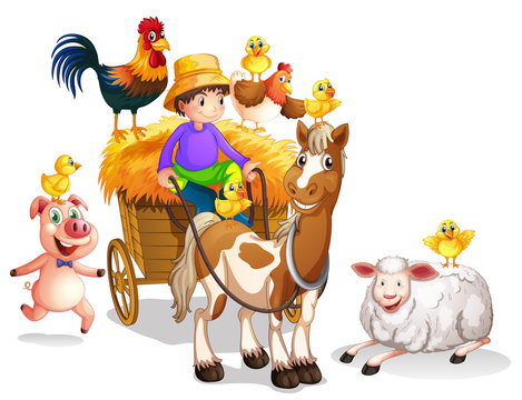 Farmer and many farm animals