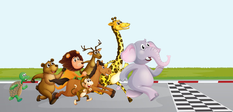 Wild animals running on the road