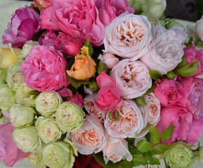 Obraz na płótnie Canvas Romantische Rosenvielfalt - gefüllte Rosenblüten in Farben