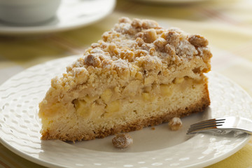 Piece of fresh homemade apple pie