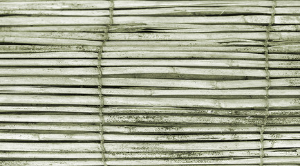 Sfondo con canne © Elisa