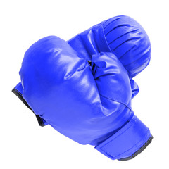 Fototapeta blue boxing gloves on white obraz