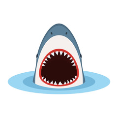 Shark with open mouth