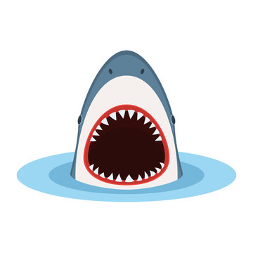 Shark with open mouth