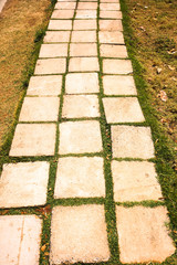 The Stone block walk path with green grass