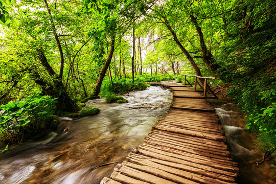 Fototapeta Plitvice lakes park in Croatia