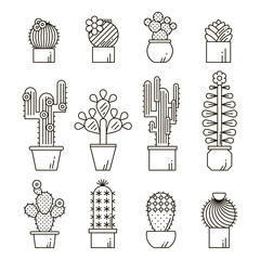 Cactus and succulents vector line icon set. Exotic floral garden silhouettes. Nature cacti outline design illustration. Graphic cartoon plant collection isolated.