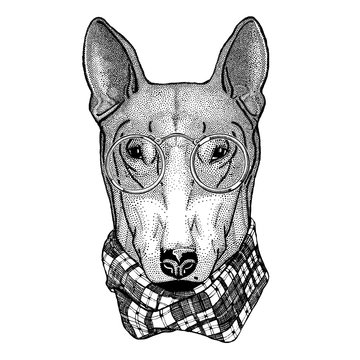 Hipster dog Bull Terrier Image for tattoo, logo, emblem, badge design