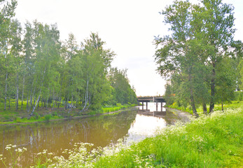 Fototapeta na wymiar Slavyanka River on the outskirts of St. Petersburg.