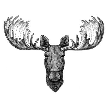 Hipster moose, elk Image for tattoo, logo, emblem, badge design