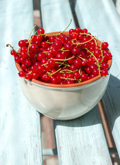 Red currant in bowl