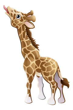 Feeding Giraffe Animal Cartoon Character