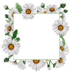 Wildflower chamomile flower  frame in a watercolor style isolated.