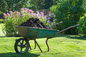 Garden-wheelbarrow filled with soil on a farm.