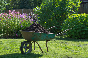 Garden-wheelbarrow filled with soil on a farm.