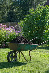 Garden-wheelbarrow filled with soil on a farm.