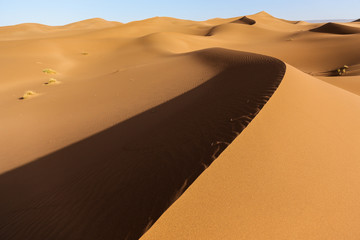Fototapeta na wymiar Landscape of Sahara desert in Morocco