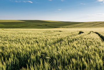Landscape in Bulgaria