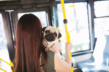 Beautiful young woman standing in city bus with her pug.  © hedgehog94