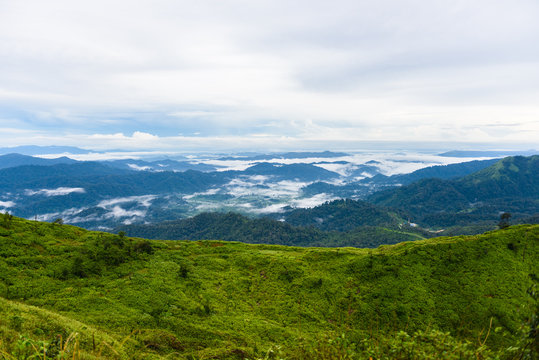 View point of " Nern Chang Suek "