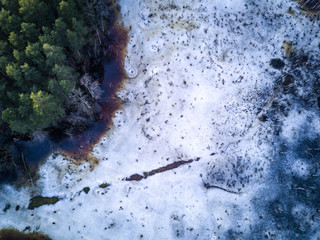 Aerial shot of swamp / marsh / lake in the forest - melting ice, dark water, trees, spring time / Dji Mavic Pro drone