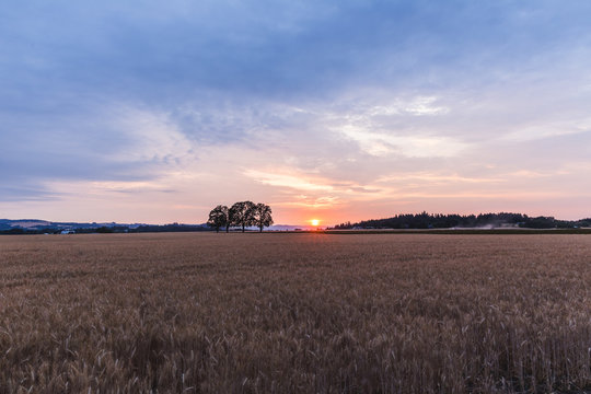 Colorful Sunset in Rural Farm Land