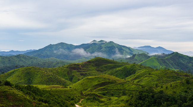 View point of " Nern Chang Suek "