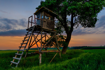 Harzlandschaft Hochsitz in der blauen Stunde