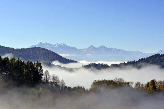 Fototapeta Tatra mountains from Pieniny at foggy sunrise