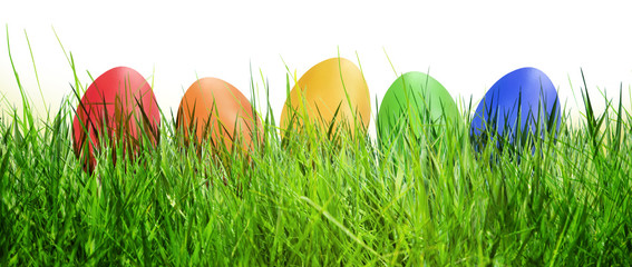 Ostereier im Gras