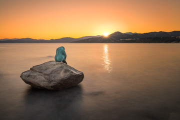 Mermaid sculpture on rock in Ile Rousse Corsica at sunrise