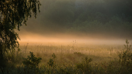 Fototapeta na wymiar Amazing spring landscape and misty meadow