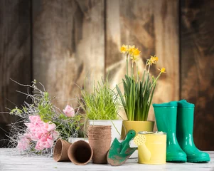 Poster Gartengebühren und Frühlingssämling isoliert auf weißem Hintergrund. Gummi, Narzissen und Tulpen. © verca