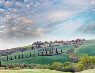 Windy road on a Tuscany hill with cypresses