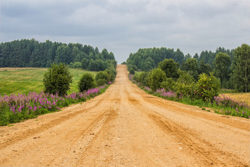 Fototapeta na wymiar Sandy dirt road through a field in the countryside, autumn, Russia